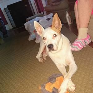 Meet your Posher, Annette